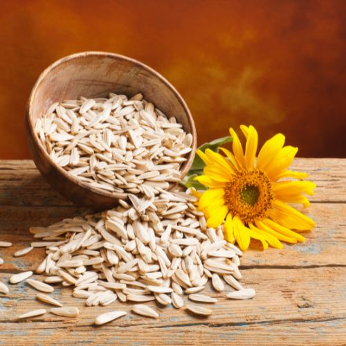 Raw Sunflower Seeds - Shanai Foods